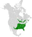 lycaenidae distribution and diversity